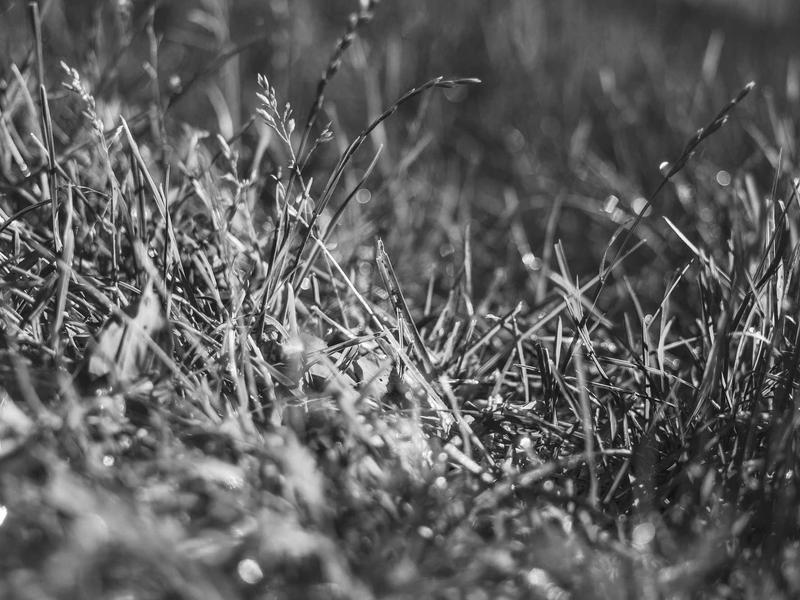 sudoku pattern learning screenshot 2